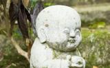 如何用六根来布施?