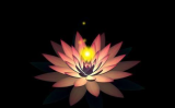 回向偈是什么意思？回向偈大全