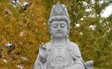 受菩萨戒有什么好处？受戒的好处
