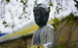 修行就是一种观念的改变