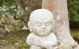 如何能觉知念头,不被念头带着跑?