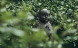 青年佛子修行最重要的四点:惜福、习劳、持戒、自尊